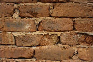 brick wall