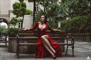 Lady in red III