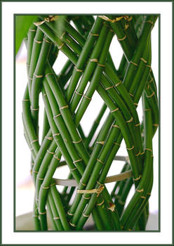 Woven bamboo