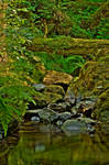 First HDR by Eruwyn