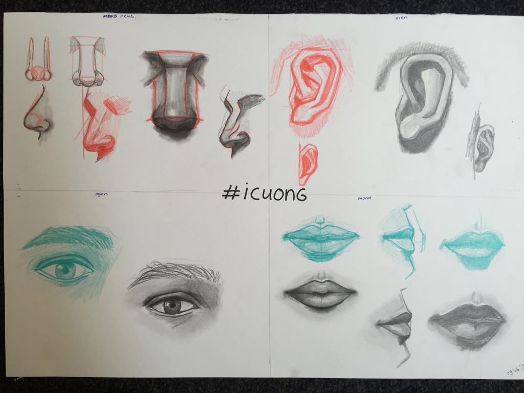 Facial study no.1 by lisavwoensel on DeviantArt