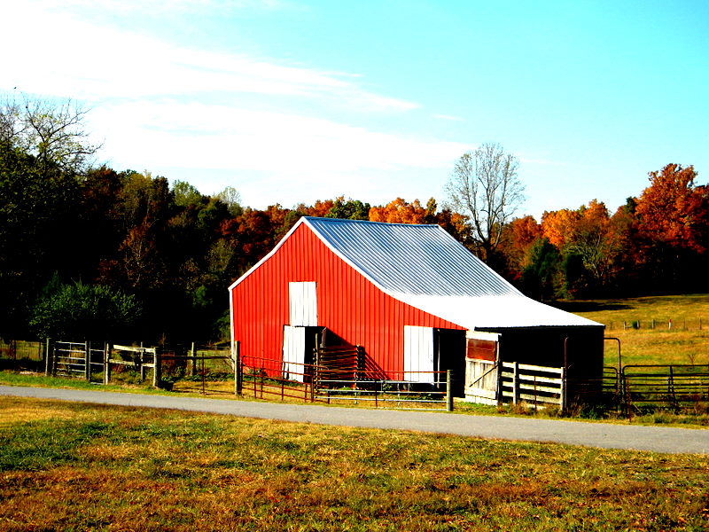 Barn in Fall