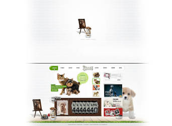 Dog Website design