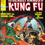 Deadly Hands of Kung Fu #29
