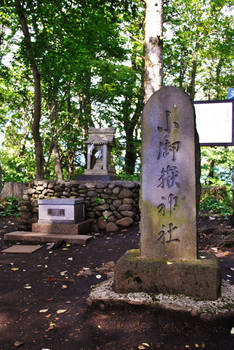 Forest Shrine