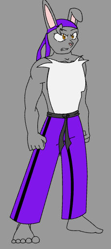 Kung Fu Bunny by Smegboi2004 on DeviantArt