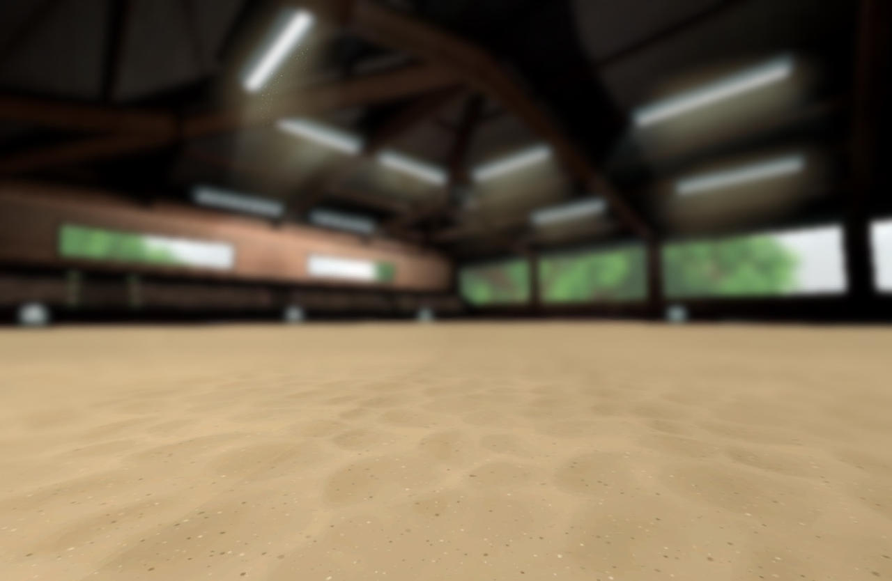 Riding hall Version 2 (FREE SSO BACKGROUND) by arianorthdotter on ...