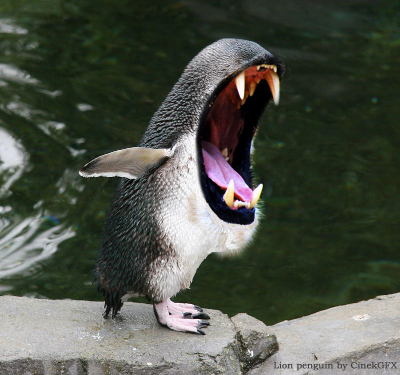 Короткая пасть. Зубы пингвина. Рот пингвина открытый. Пингвин с открытой пастью.