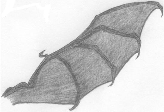 Deviantart Bat Winged Bat wing by RaraIvy on DeviantArt