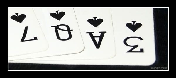 gamble with love