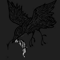 Black Winged Bird