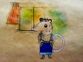 Opossum with Pants