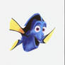 Dory