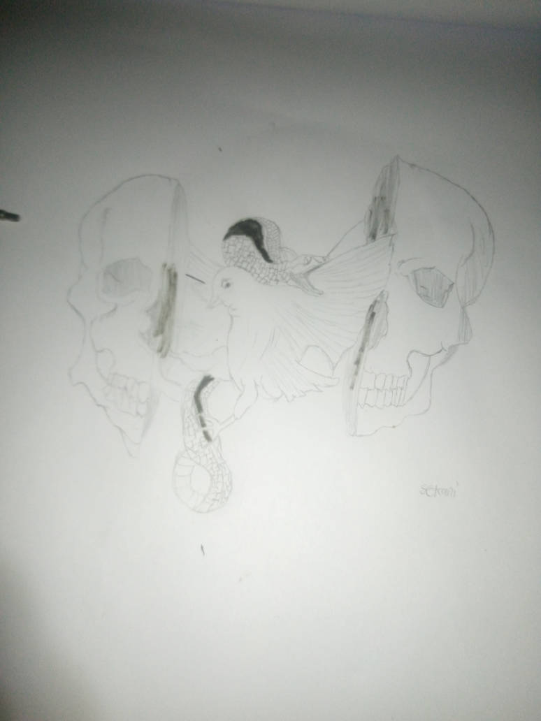 sekani art by genesis7000 on DeviantArt