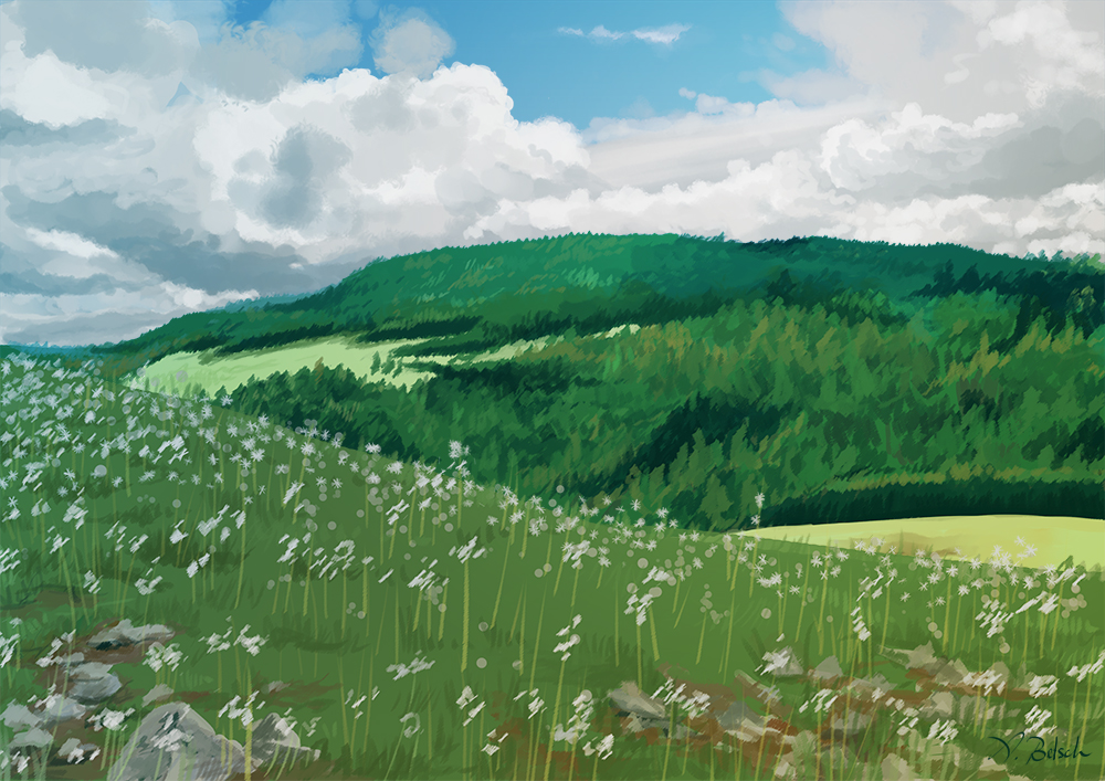 Landscape Study