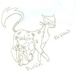 Liepard and Purrloin