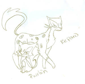 Liepard and Purrloin