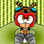 Charmy The Bee