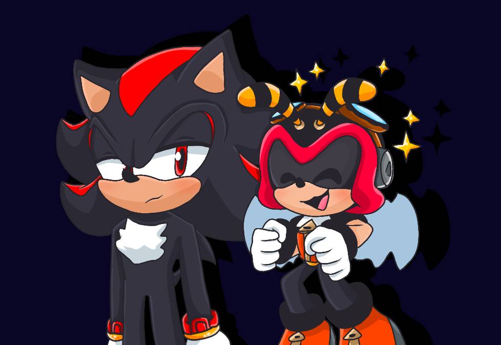 Shadow And Charmy By Hrr Artss On Deviantart Shadow And Charmy By Hrr Artss On Deviantart