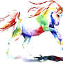 Rainbow Horse Study II