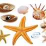 Sea creatures - PNG