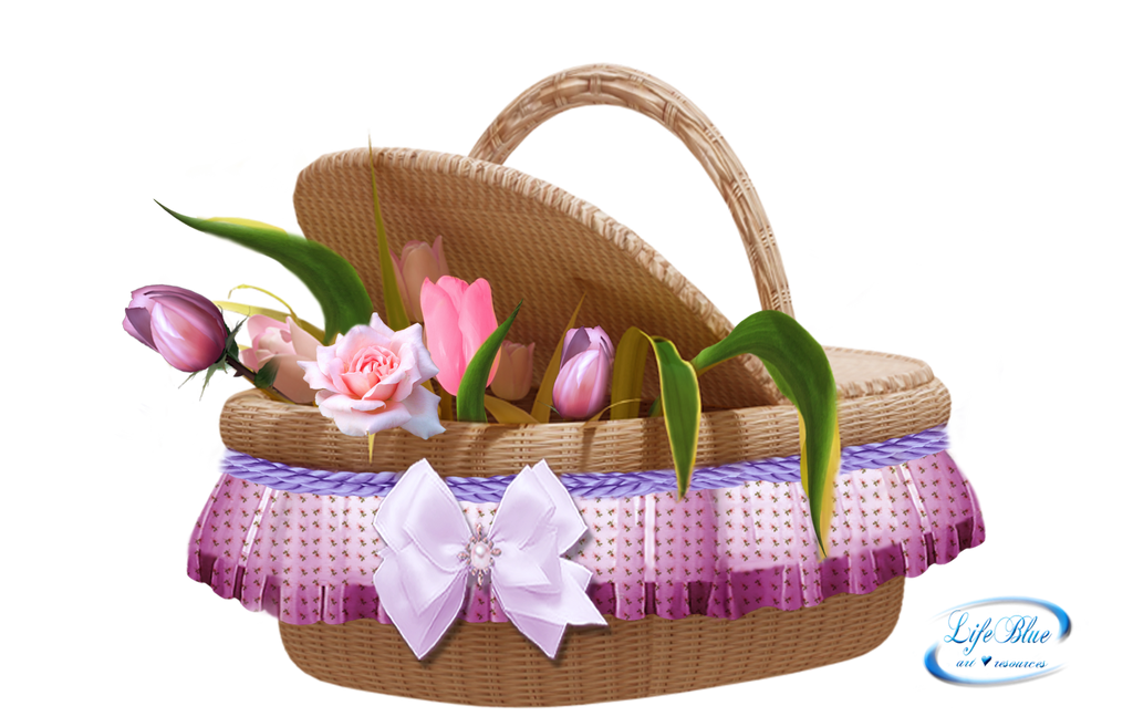 Floral basket - PNG