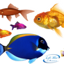 Goldfish - PNG