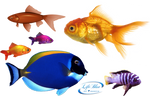 Goldfish - PNG