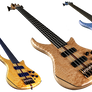 Bass - PNG