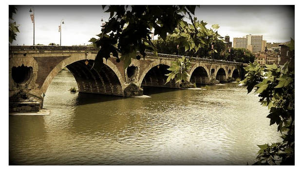 Toulouse's bridge