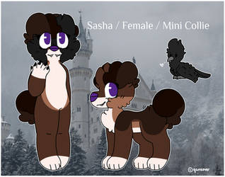 sasha reference (fursona)