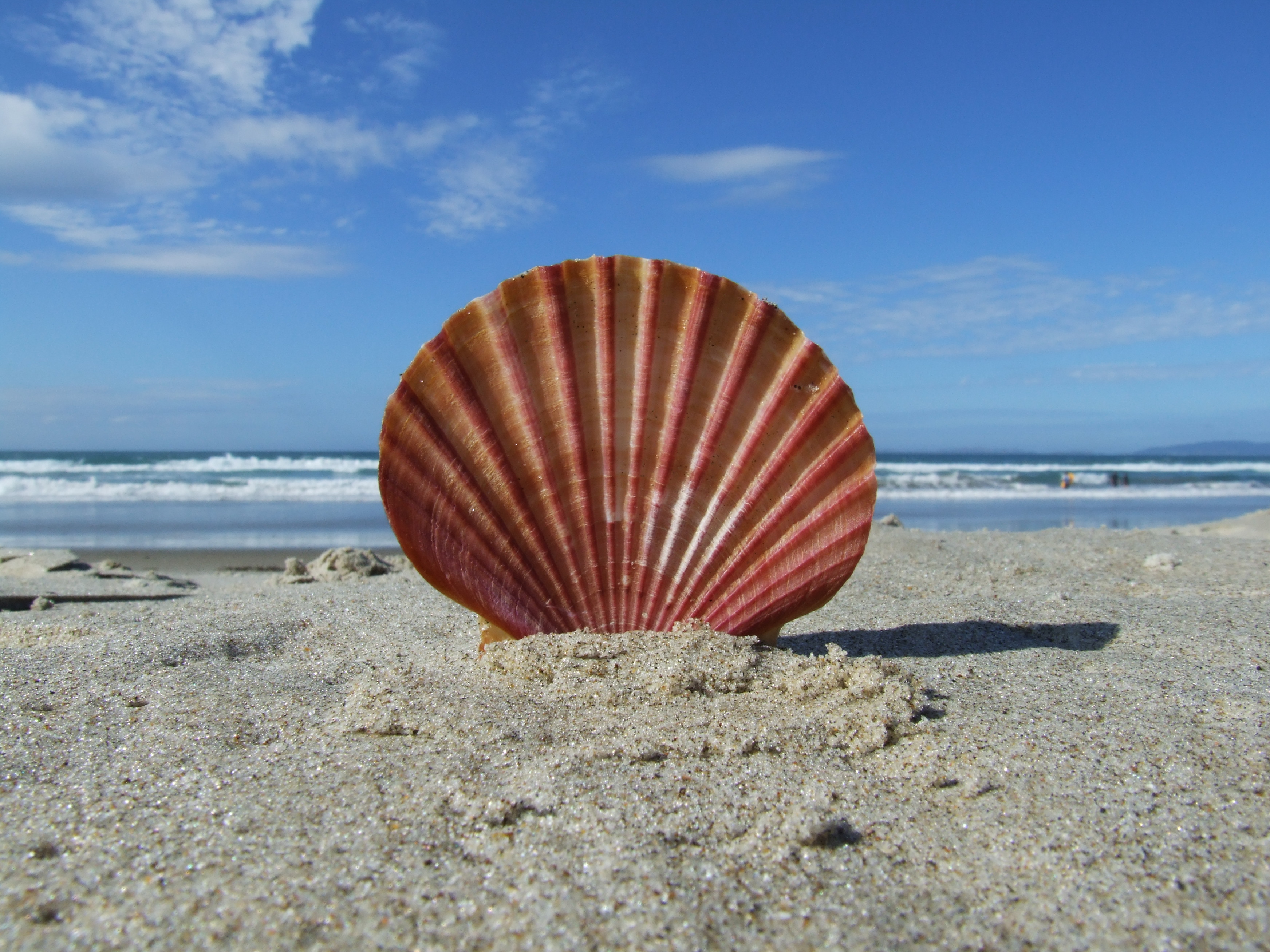 By The Seashore