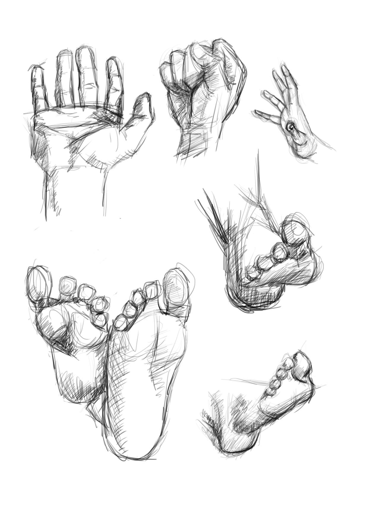 Hands and feet study