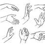 Hands Study