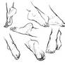 Feet Study