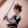 Sora - Ready To Face Darkness-