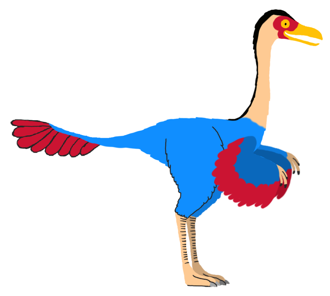 Caudipteryx