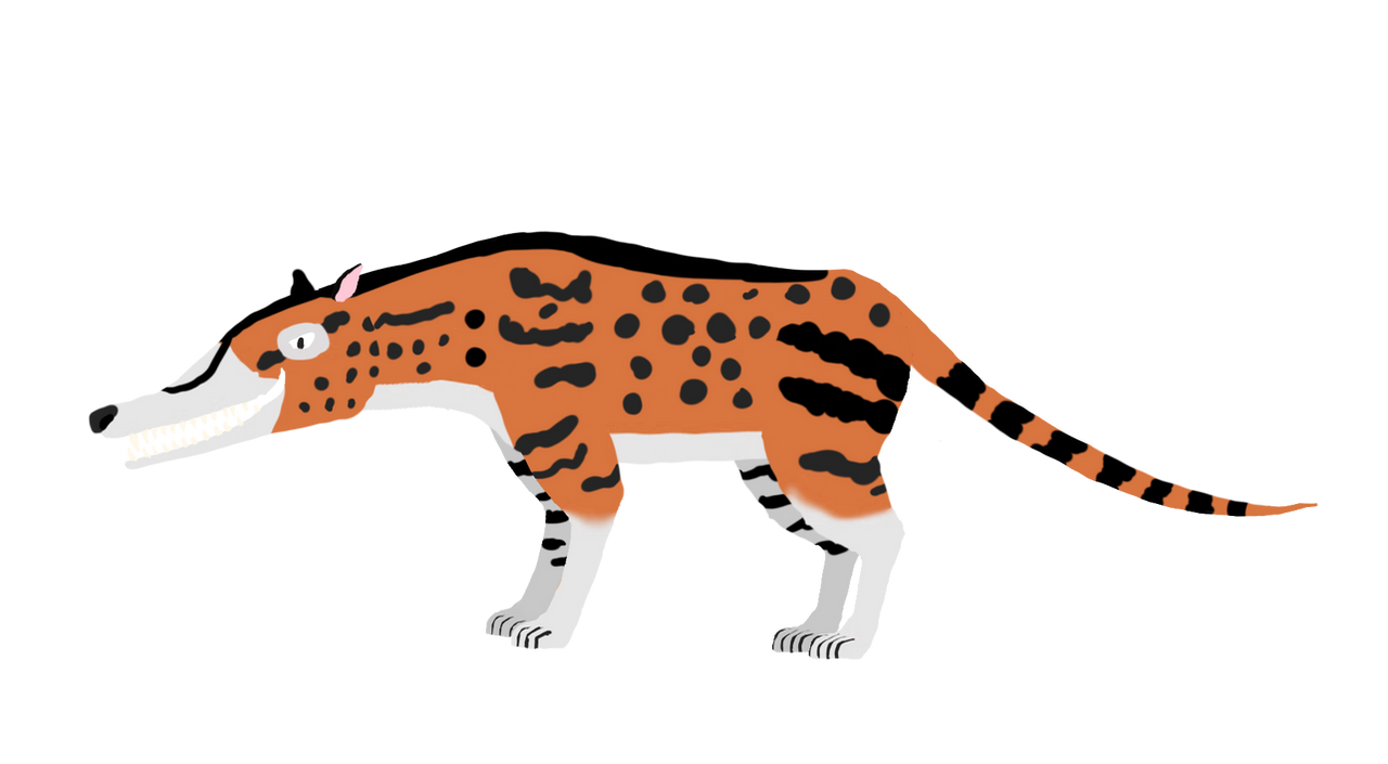 Andrewsarchus