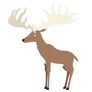 Megaloceros