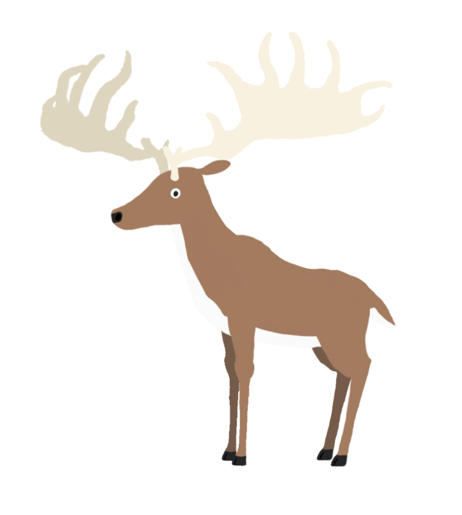 Megaloceros