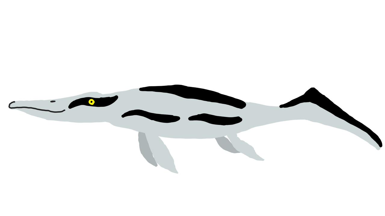 Cymbospondylus
