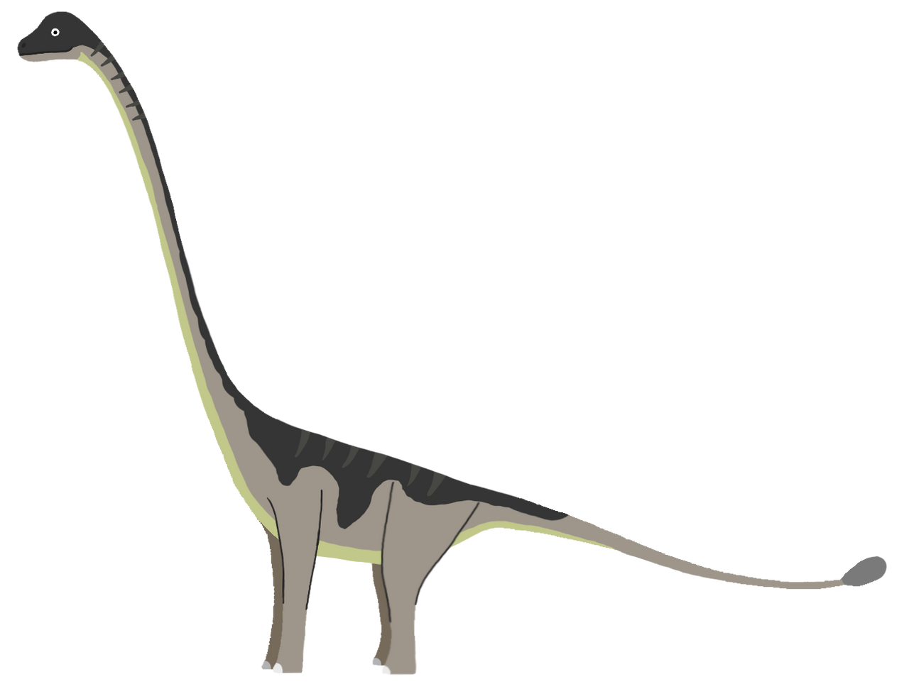 Omeisaurus