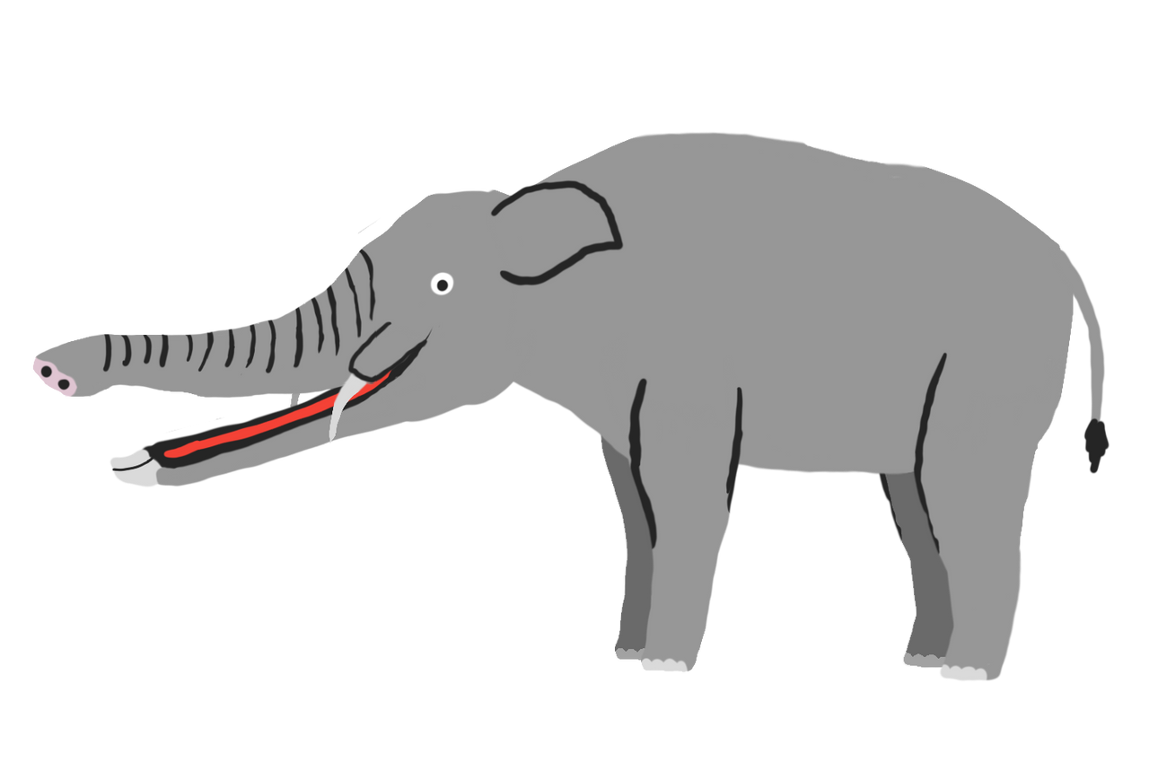 Platybelodon