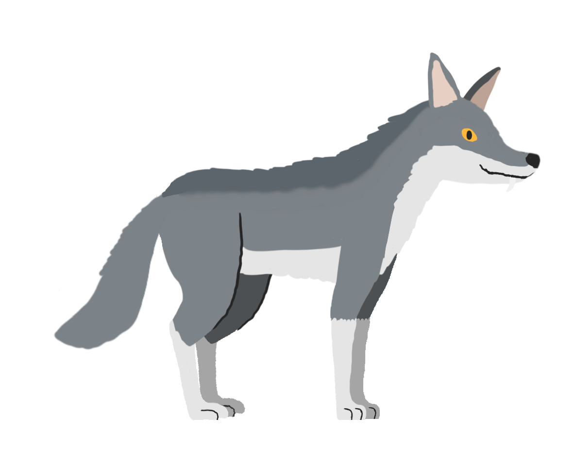 Dire wolf (Canis Dirus)