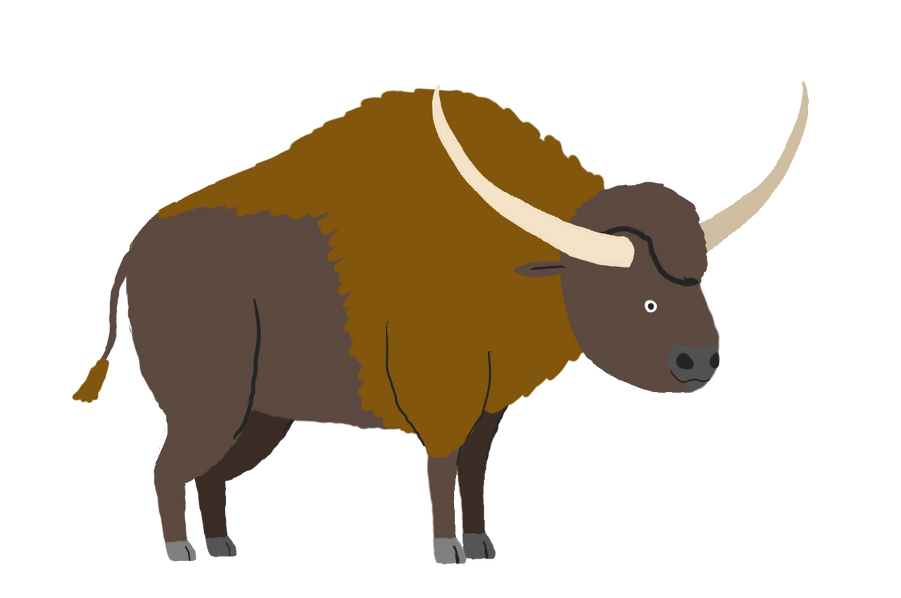 Bison Latifrons 'Long-horned bison'