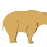 Diprotodon
