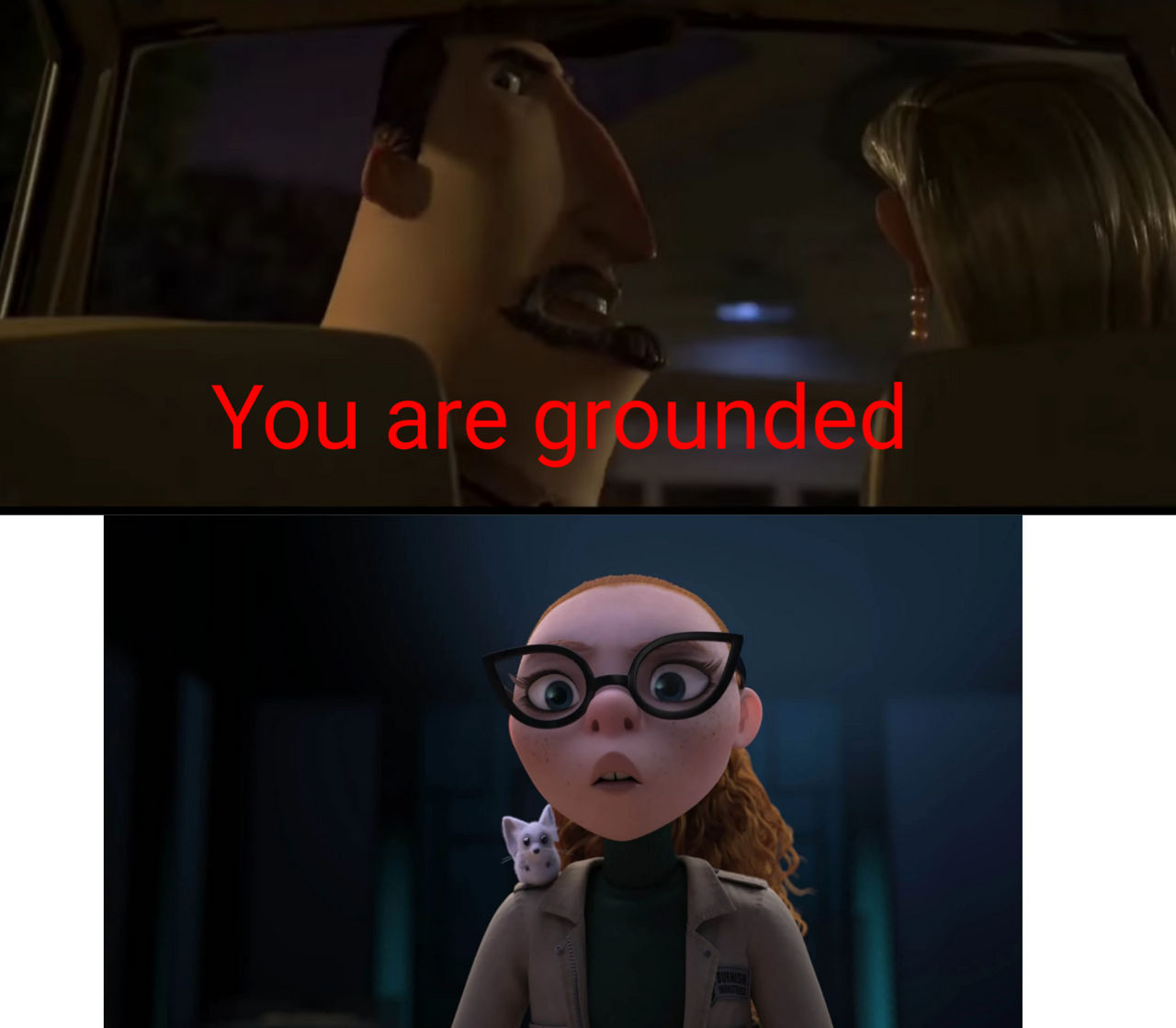 Perry Babcock grounds Dr. Zara