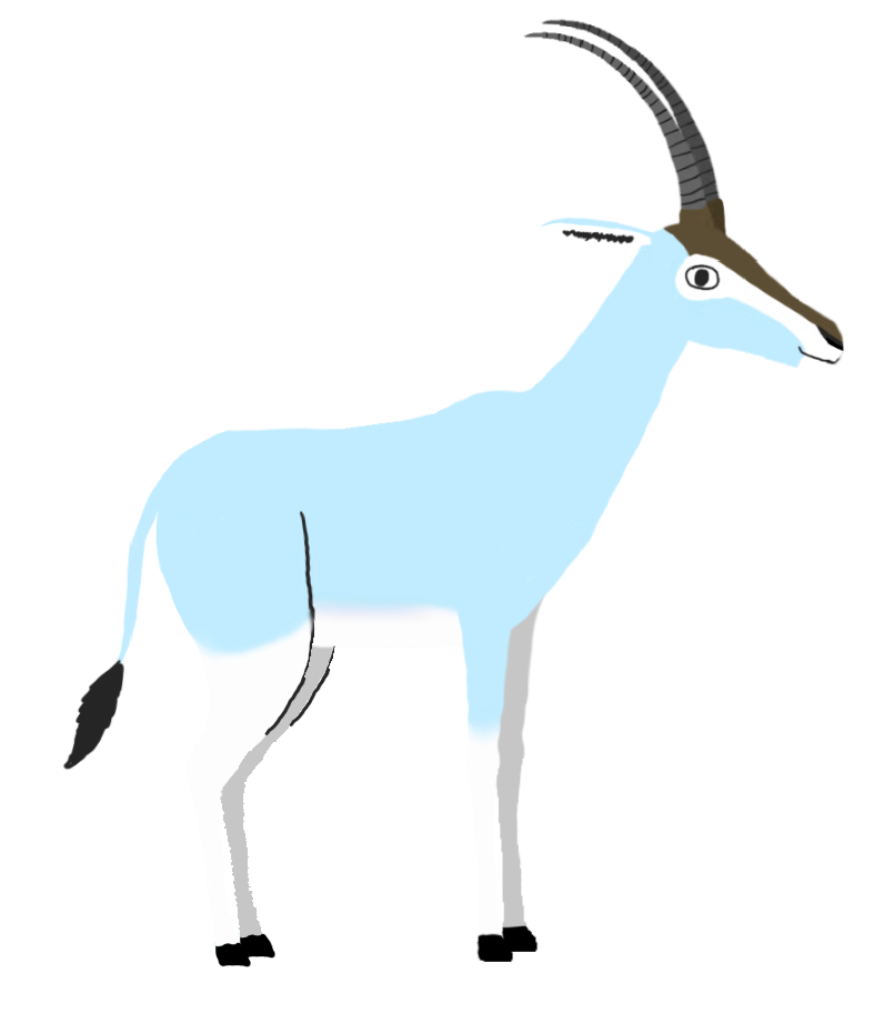 Bluebuck a.k.a blue antelope