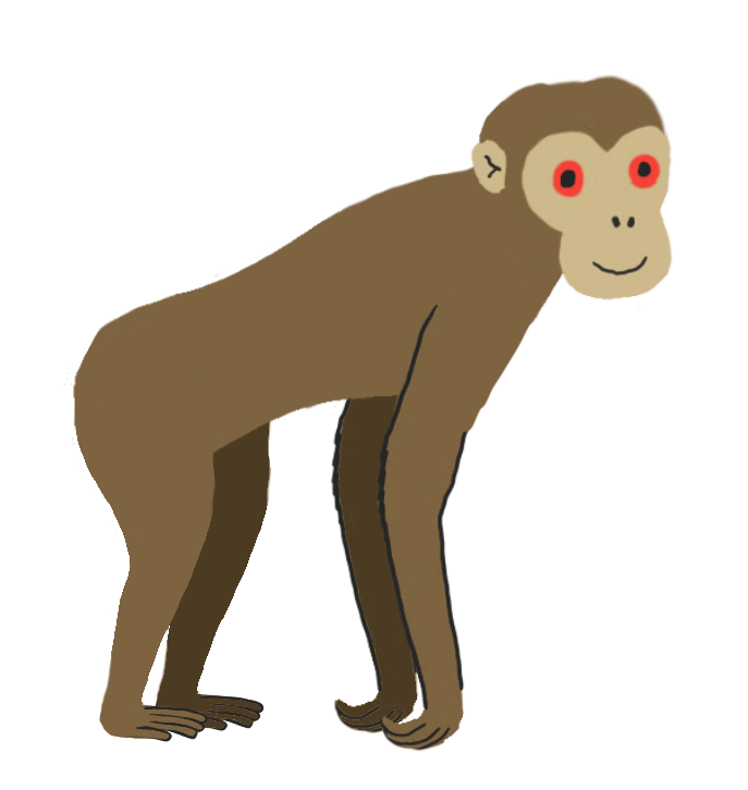 Dryopithecus