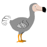 Dodo